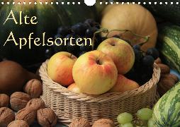 Alte Apfelsorten (Wandkalender 2020 DIN A4 quer)