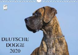 Deutsche Dogge 2020 (Wandkalender 2020 DIN A4 quer)