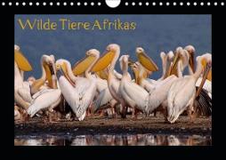 Wilde Tiere Afrikas (Wandkalender 2020 DIN A4 quer)