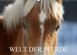 Welt der Pferde (Wandkalender 2020 DIN A2 quer)