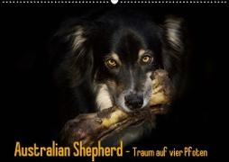 Australian Shepherd - Traum auf vier Pfoten (Wandkalender 2020 DIN A2 quer)