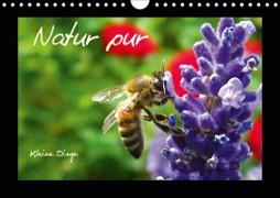 Natur pur / Kleine Dinge in ihrer großen Pracht (Wandkalender 2020 DIN A4 quer)