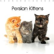 Persian Kittens (Wall Calendar 2020 300 × 300 mm Square)