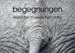 begegnungen - elefanten im südlichen afrika (Wandkalender 2020 DIN A2 quer)