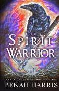 The Spirit Warrior: Native Guardians Book 2