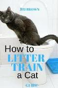 How to Litter Train a Cat: Guide