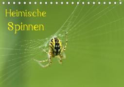 Heimische Spinnen (Tischkalender 2020 DIN A5 quer)