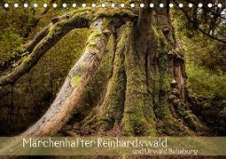 Märchenhafter Reinhardswald und Urwald Sababurg (Tischkalender 2020 DIN A5 quer)