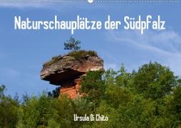 Naturschauplätze der Südpfalz (Wandkalender 2020 DIN A2 quer)