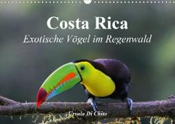 Costa Rica - Exotische Vögel im Regenwald (Wandkalender 2020 DIN A3 quer)