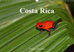 Costa Rica (Wandkalender 2020 DIN A3 quer)