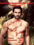 Smooth and Charismatic Men Go Gay-4-Pay Like Galloping Shades of Gray: An MM Gigolo Novella