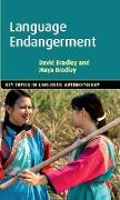 Language Endangerment