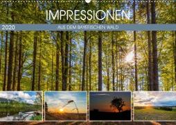 Impressionen aus dem Bayerischen Wald (Wandkalender 2020 DIN A2 quer)