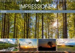 Impressionen aus dem Bayerischen Wald (Wandkalender 2020 DIN A3 quer)