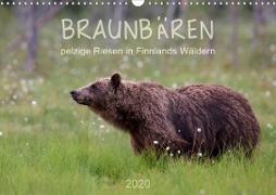 Braunbären - pelzige Riesen in Finnlands Wäldern (Wandkalender 2020 DIN A3 quer)