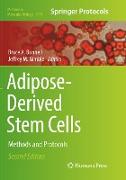 Adipose-Derived Stem Cells