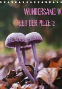 Wundersame Welt der Pilze (Tischkalender 2020 DIN A5 hoch)