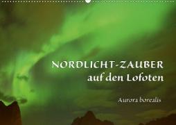 Nordlicht-Zauber auf den Lofoten. Aurora borealisCH-Version (Wandkalender 2020 DIN A2 quer)