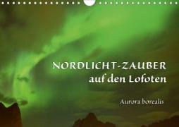 Nordlicht-Zauber auf den Lofoten. Aurora borealisCH-Version (Wandkalender 2020 DIN A4 quer)
