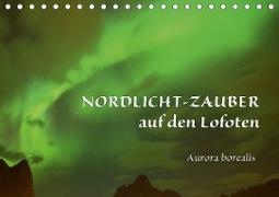 Nordlicht-Zauber auf den Lofoten. Aurora borealisCH-Version (Tischkalender 2020 DIN A5 quer)