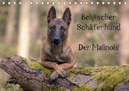 Belgischer Schäferhund - Der Malinois (Tischkalender 2020 DIN A5 quer)