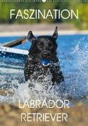 Faszination Labrador Retriever (Wandkalender 2020 DIN A2 hoch)