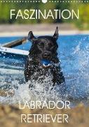 Faszination Labrador Retriever (Wandkalender 2020 DIN A3 hoch)