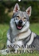 Faszination Wolfhund (Wandkalender 2020 DIN A3 hoch)