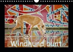 Windhund bunt (Wandkalender 2020 DIN A4 quer)
