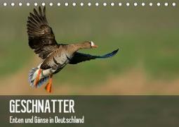 Geschnatter - Enten und Gänse in Deutschland (Tischkalender 2020 DIN A5 quer)