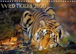 Wild Tigers 2020 (Wall Calendar 2020 DIN A4 Landscape)
