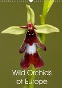 Wild Orchids of Europe (Wall Calendar 2020 DIN A3 Portrait)