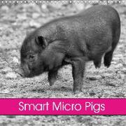 Smart Micro Pigs (Wall Calendar 2020 300 × 300 mm Square)