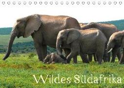 Wildes Südafrika - Lebendiges Kap (Tischkalender 2020 DIN A5 quer)
