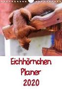 Eichhörnchen Planer 2020 (Wandkalender 2020 DIN A4 hoch)