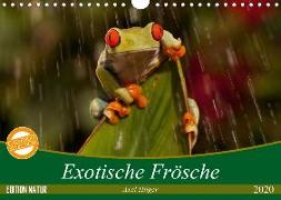 Exotische Frösche (Wandkalender 2020 DIN A4 quer)