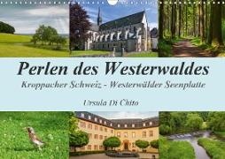 Perlen des Westerwaldes (Wandkalender 2020 DIN A3 quer)