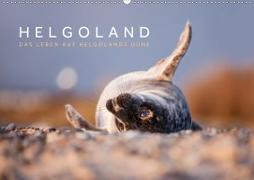 Helgoland - Das Leben auf der Düne Helgolands (Wandkalender 2020 DIN A2 quer)