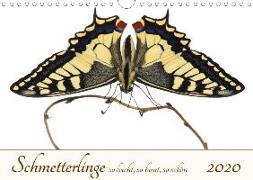 Schmetterlinge so leicht, so bunt, so schön (Wandkalender 2020 DIN A4 quer)