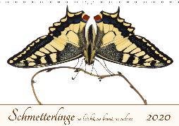 Schmetterlinge so leicht, so bunt, so schön (Wandkalender 2020 DIN A3 quer)
