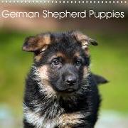 German Shepherd Puppies (Wall Calendar 2020 300 × 300 mm Square)