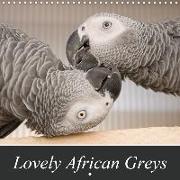 Lovely African Greys (Wall Calendar 2020 300 × 300 mm Square)