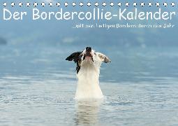 Der Bordercollie-Kalender (Tischkalender 2020 DIN A5 quer)