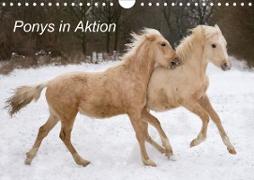 Ponys in Aktion (Wandkalender 2020 DIN A4 quer)