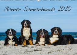 Berner Sennenhund 2020 (Wandkalender 2020 DIN A2 quer)