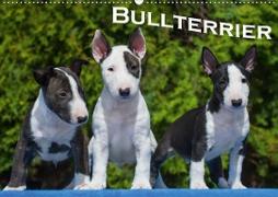 Bullterrier (Wandkalender 2020 DIN A2 quer)