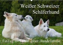Weißer Schweizer Schäferhund - Ein Tag im Leben einer Hundefamilie (Wandkalender 2020 DIN A2 quer)