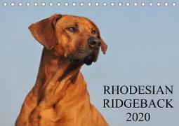 Rhodesian Ridgeback 2020 (Tischkalender 2020 DIN A5 quer)