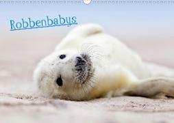 Robbenbabys (Wandkalender 2020 DIN A3 quer)